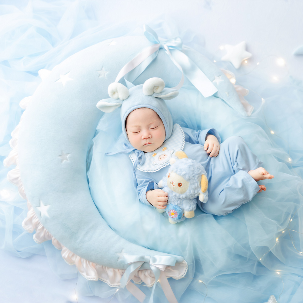 귀여운 양 신생아 사진 소품 세트 달 모양 포즈 베개  - Infant Photography Props Outfit 리뷰 및 가격